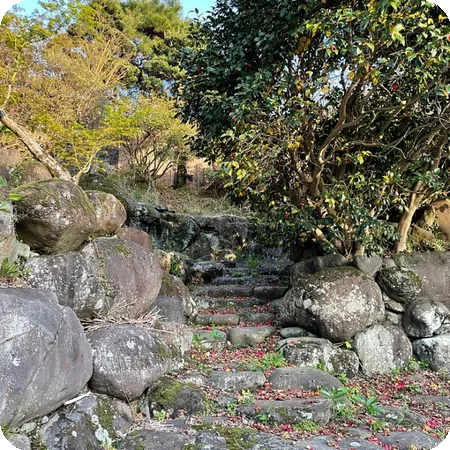 이곳에서는 다양한 식료품, 빵, 음료